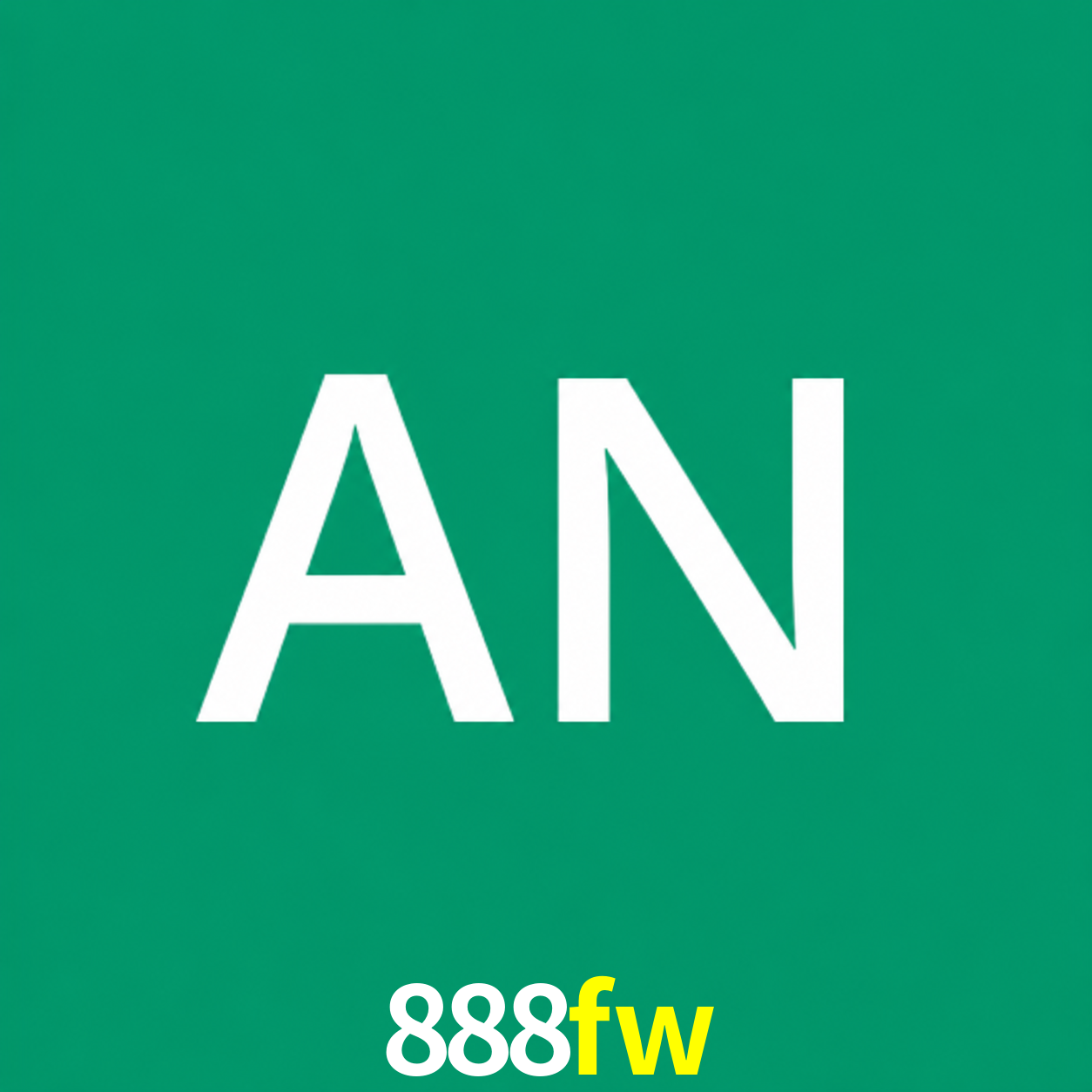 Adi Nugroho - Founder & CEO 888fw Indonesia